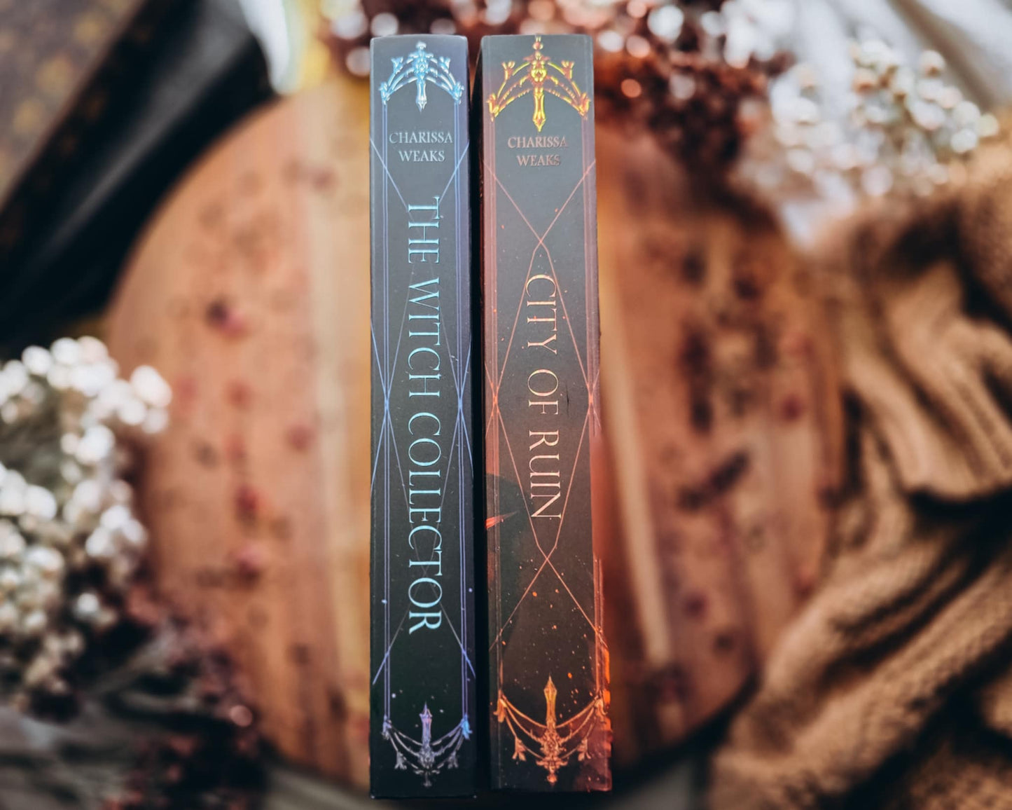 Charissa Weakes The Witch Collector, City of Ruin (Books Only-AU)
