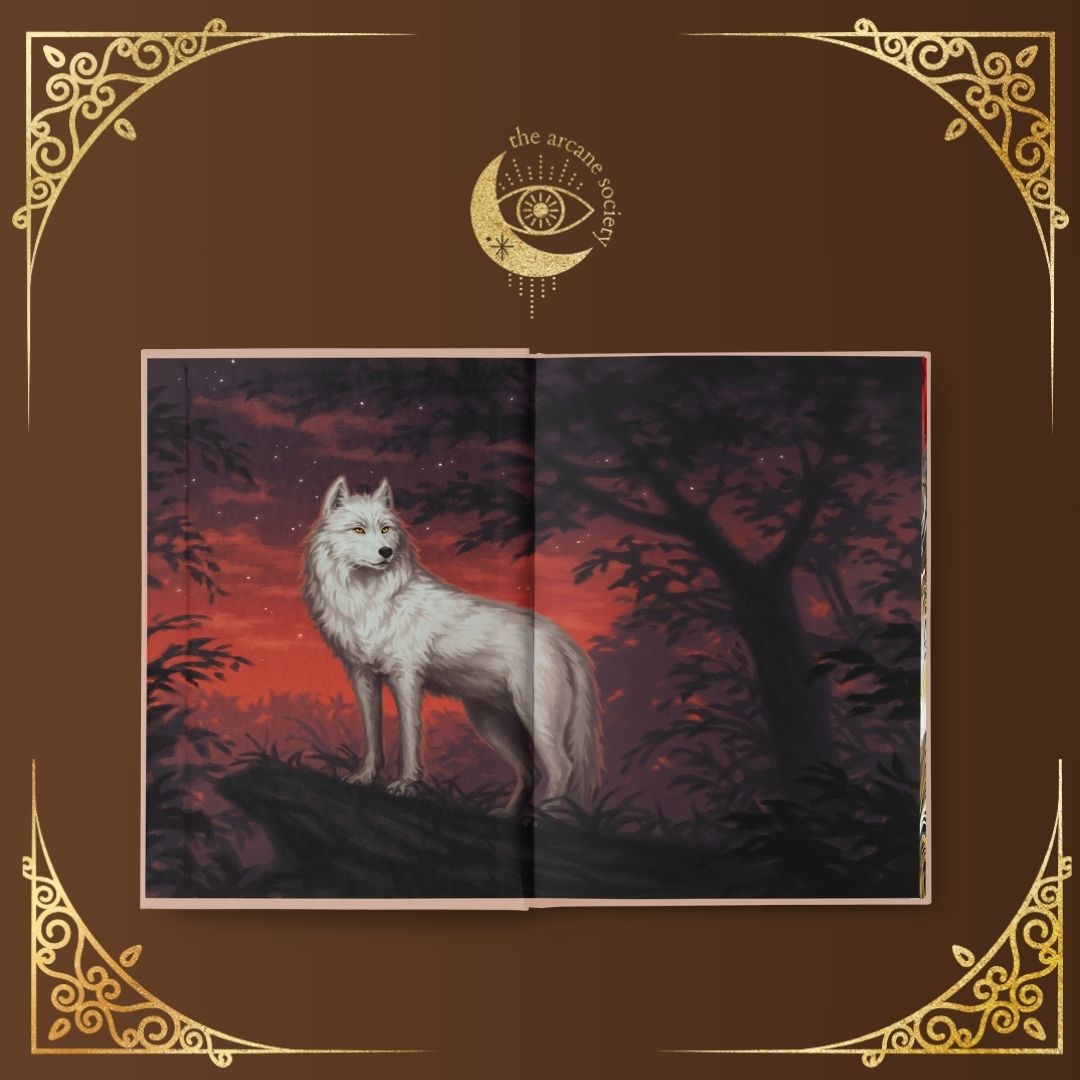 Add On Box - Charissa Weaks - The Wolf and The Witch
